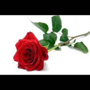 Meet your Posher, Otisha